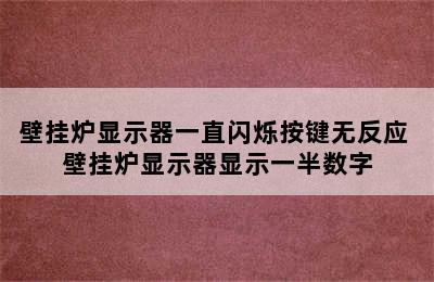 壁挂炉显示器一直闪烁按键无反应 壁挂炉显示器显示一半数字